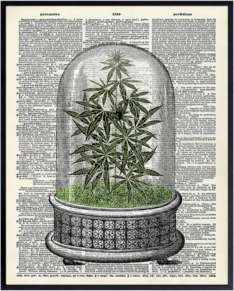 cannabis smoking