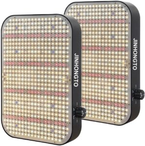 cannabis growing lights
