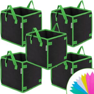 cannabis accessories growing