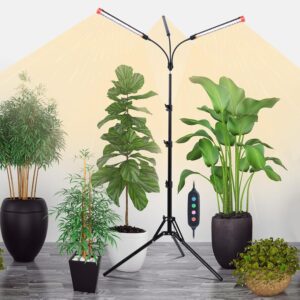 cannabis growing lights