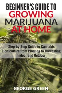 cannabis growing book