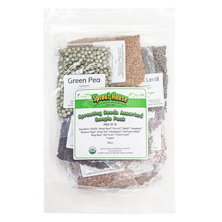 cannabis seeds