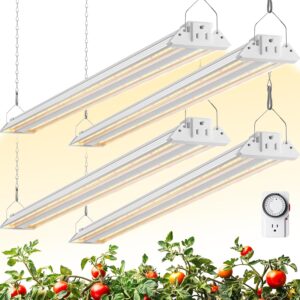 cannabis growing lights