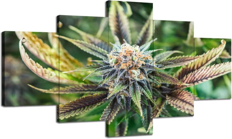 marijuana art