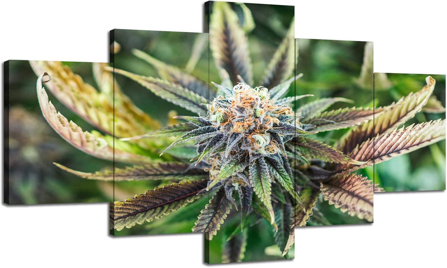 marijuana art