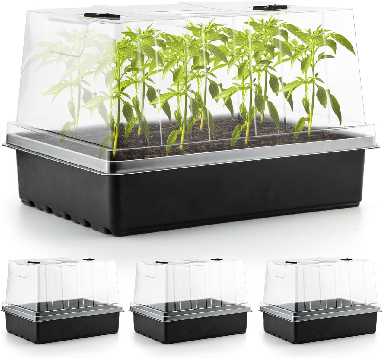 cannabis growing supplies and accessories