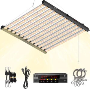 cannabis growing lights