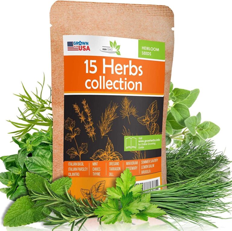 cannabis seeds