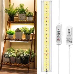 cannabis growing lights