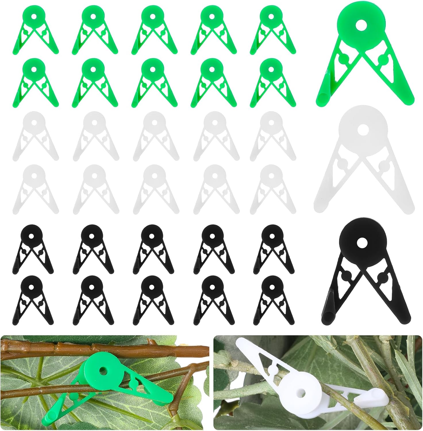 cannabis accessories growing