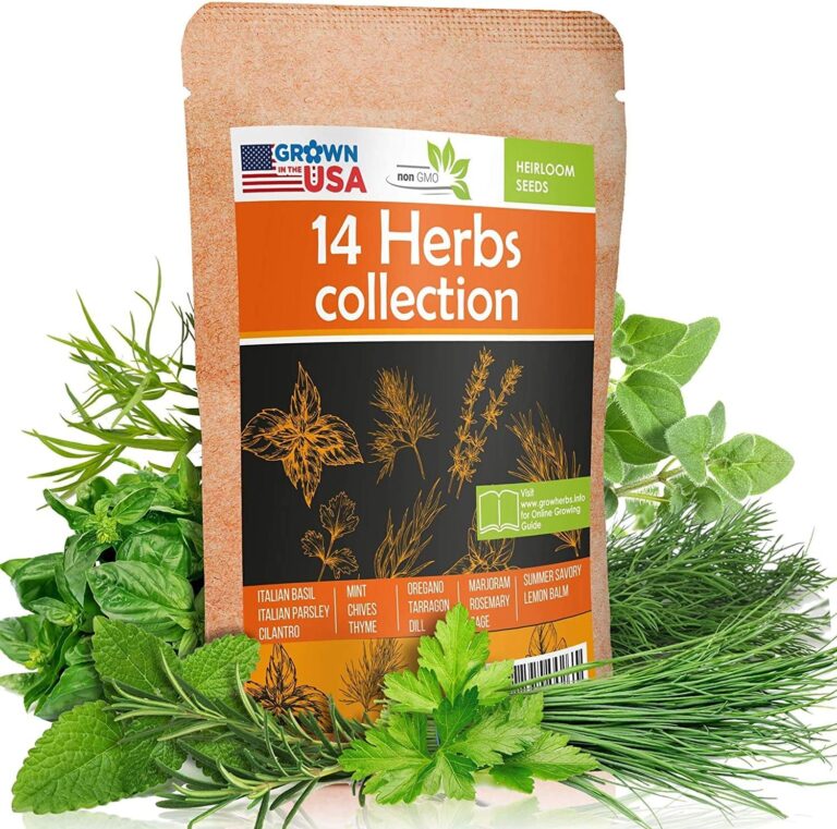 cannabis seeds