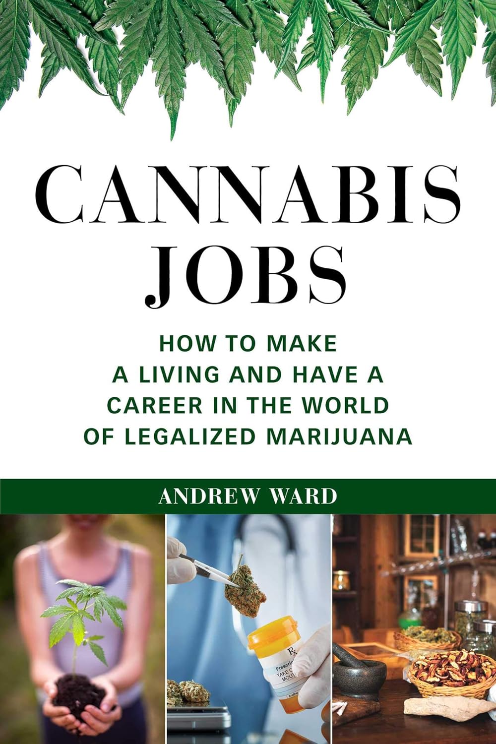 cannabis growing book