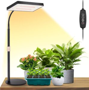 cannabis growing lights