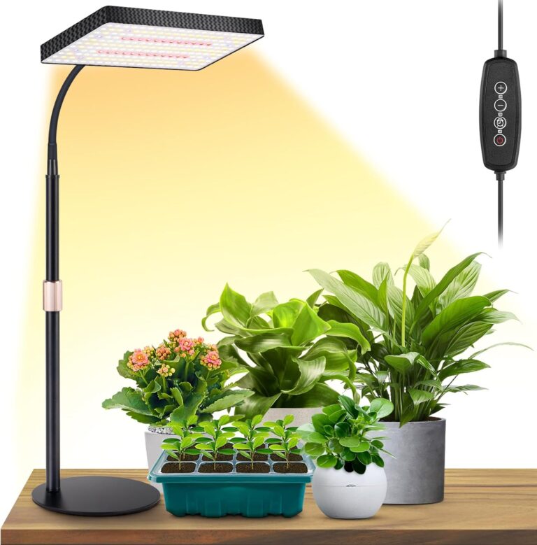 cannabis growing lights
