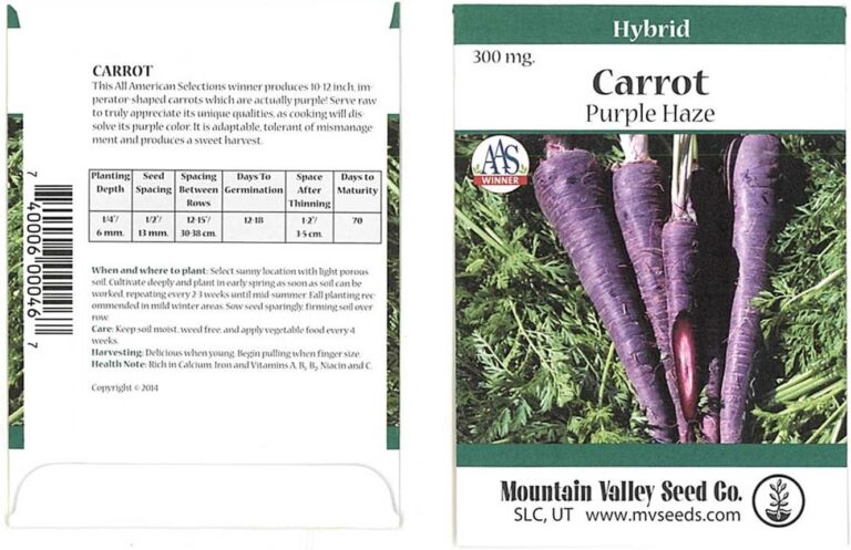 cannabis seeds