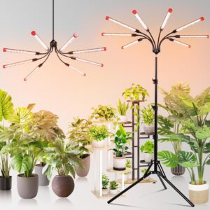 cannabis growing lights