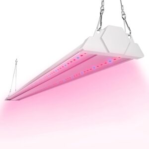 cannabis growing lights