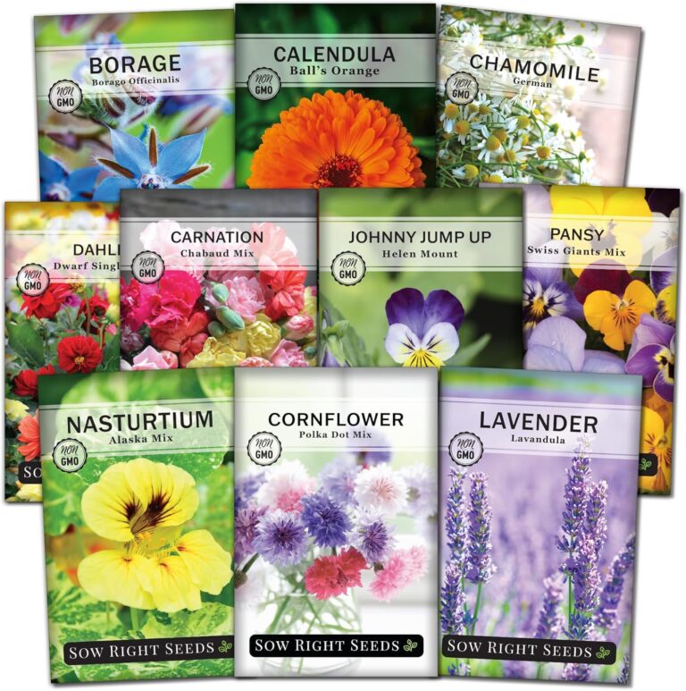 cannabis seeds