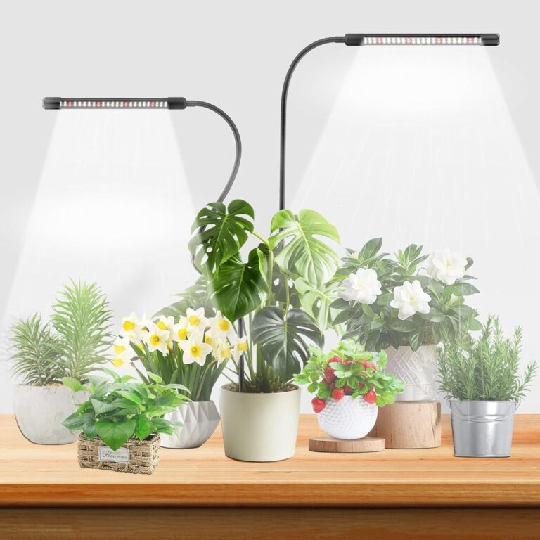 cannabis growing lights
