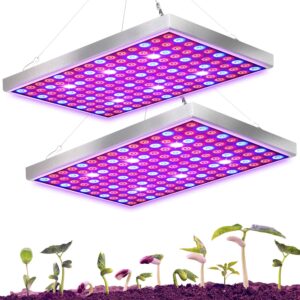 cannabis growing lights
