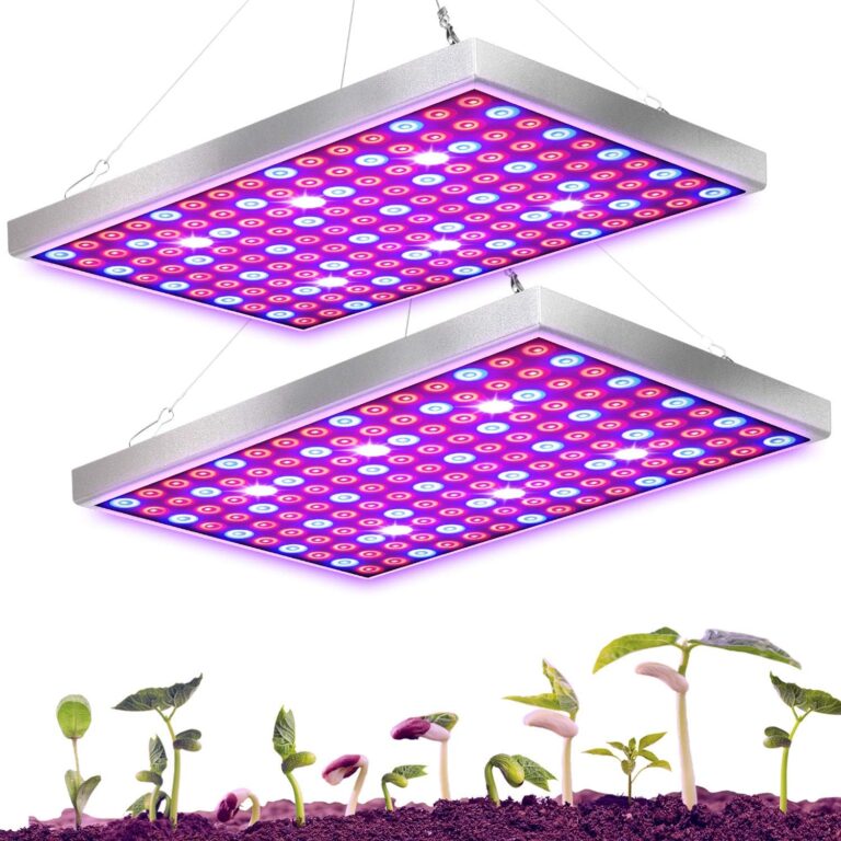 cannabis growing lights