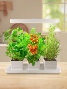 cannabis growing lights