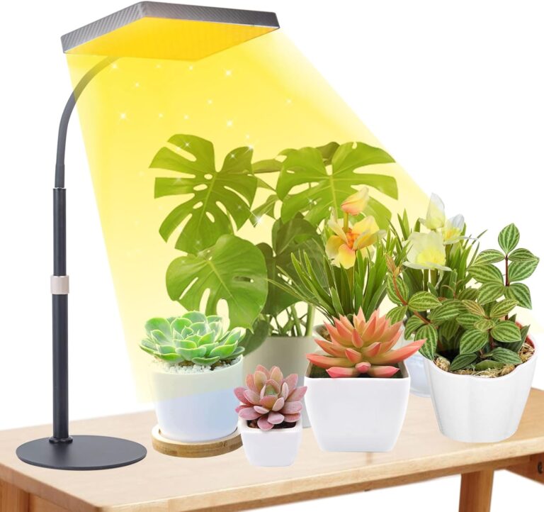 cannabis growing lights