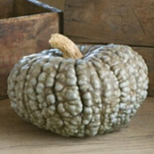 cannabis seeds