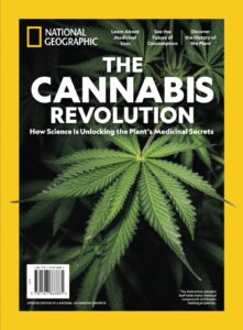 cannabis book