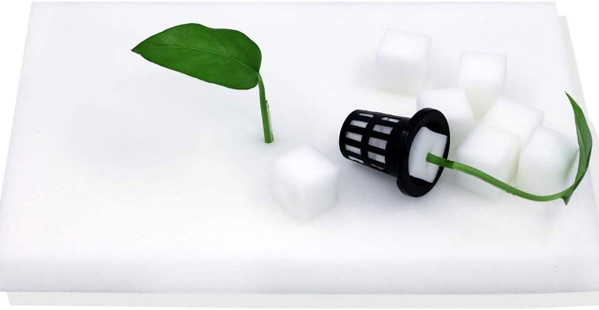 cannabis accessories growing