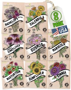 cannabis seeds
