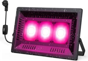 cannabis growing lights