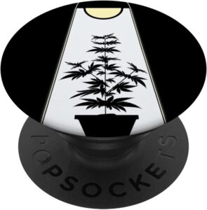 cannabis accessories growing
