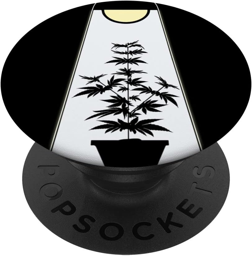 cannabis accessories growing