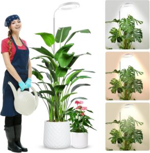 cannabis growing lights