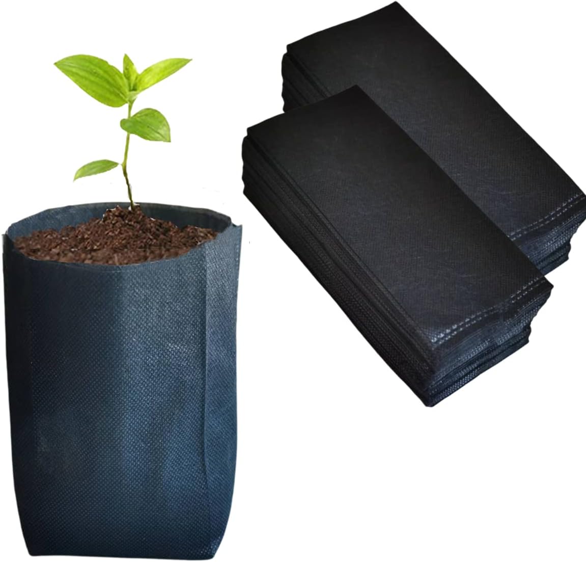 cannabis accessories growing