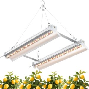 cannabis growing supplies and accessories