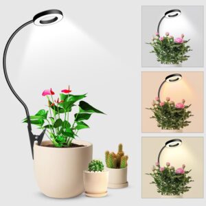 cannabis growing lights