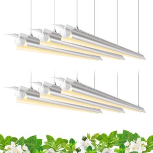 cannabis growing lights