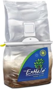 cannabis accessories growing