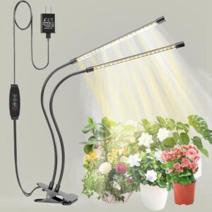 cannabis growing lights