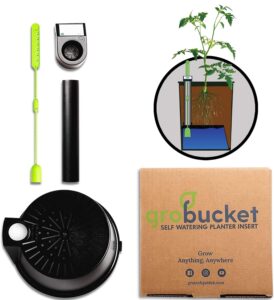cannabis accessories growing