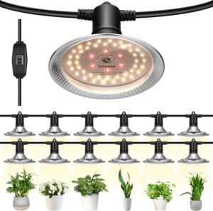 cannabis growing lights