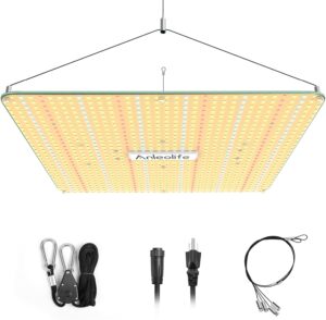 cannabis accessories growing