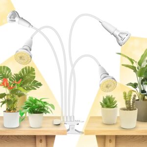 cannabis growing lights