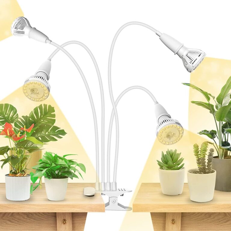 cannabis growing lights