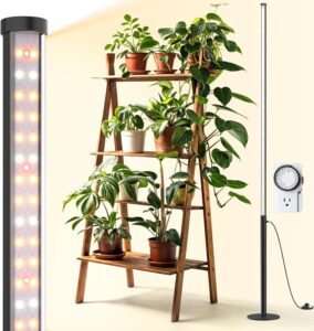 cannabis growing lights