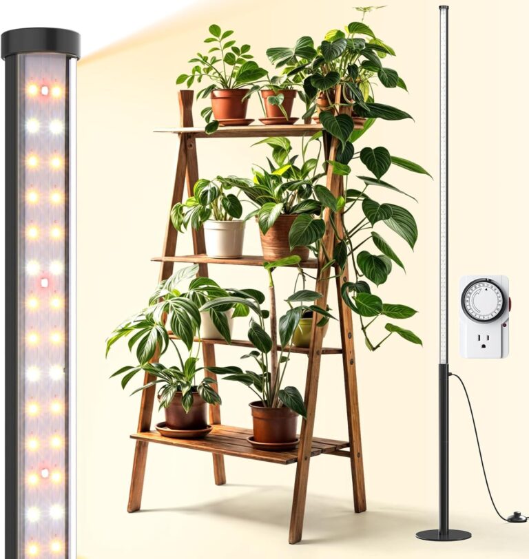 cannabis growing lights