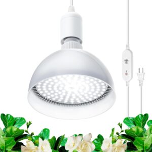 cannabis growing lights