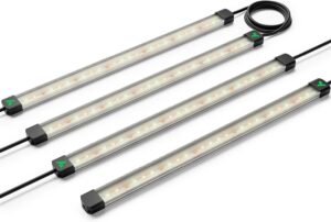 cannabis growing lights